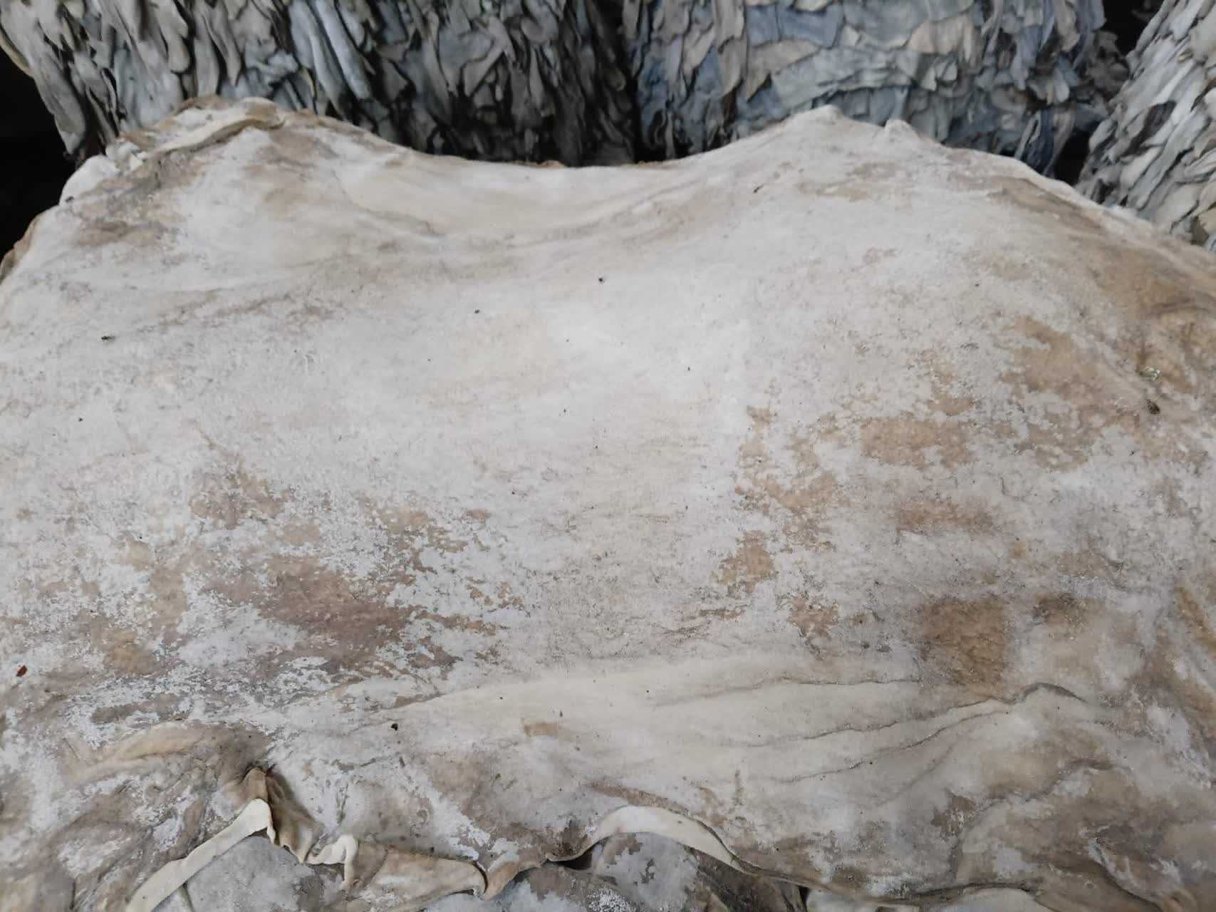 Salambour Semi-Finished Leather